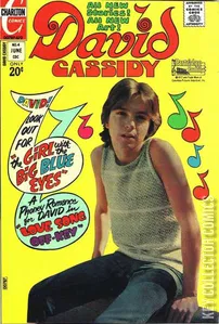 David Cassidy #4