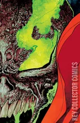 Variant Cover for King Spawn #24
