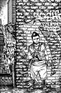 Teenage Mutant Ninja Turtles #18