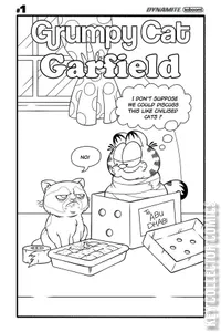 Grumpy Cat / Garfield #1