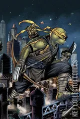 Variant Cover for Teenage Mutant Ninja Turtles #105
