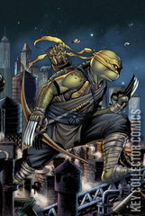 Variant Cover for Teenage Mutant Ninja Turtles #105