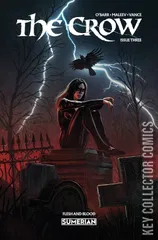 Cover for The Crow: Flesh and Blood #3