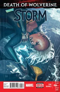 Storm #4