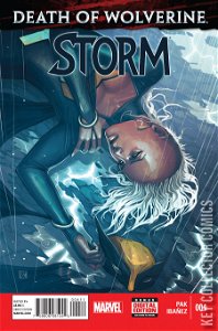 Storm #4