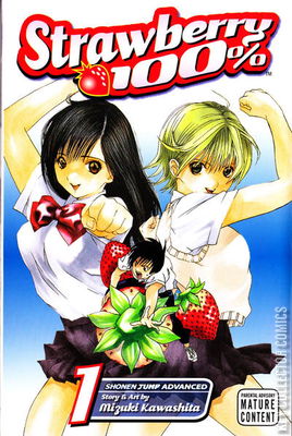 Strawberry 100%