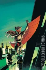 Variant Cover for Thundercats x Silverhawks: Thunderhawks #2