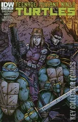 Variant Cover for Teenage Mutant Ninja Turtles #19