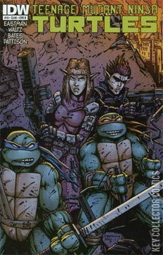 Variant Cover for Teenage Mutant Ninja Turtles #19