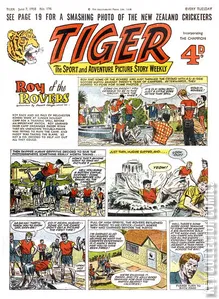 Tiger #196