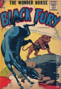 Black Fury #8