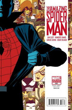 Variant Cover for Amazing Spider-Man #648