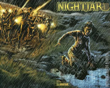 Nightjar #3