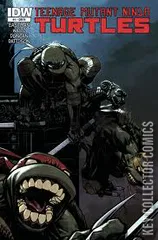 Variant Cover for Teenage Mutant Ninja Turtles #11