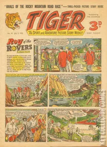 Tiger #43