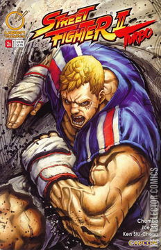 Variant Cover for Street Fighter II Turbo #2