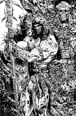 Variant Cover for Conan the Barbarian #5