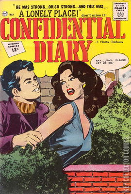 Confidential Diary