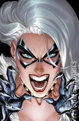 Variant Cover for Black Cat #6