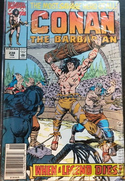 Variant Cover for Conan the Barbarian #238