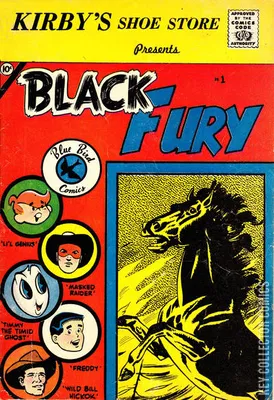 Black Fury