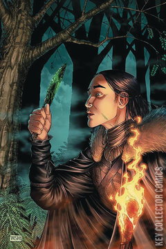 Variant Cover for A Game of Thrones: Clash of Kings #1