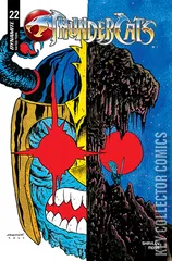 Cover for Thundercats #22