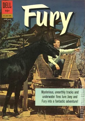 Fury