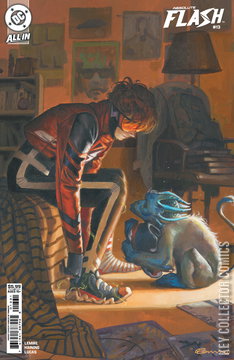 Variant Cover for Absolute Flash #13