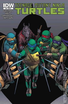 Variant Cover for Teenage Mutant Ninja Turtles #25