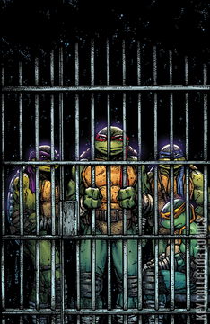 Variant Cover for Teenage Mutant Ninja Turtles #11