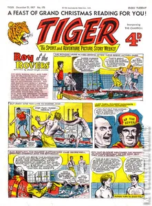 Tiger #172