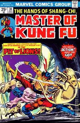 Master of Kung Fu