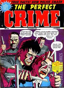 Perfect Crime #28