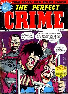Perfect Crime #28