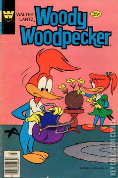 Variant Cover for Woody Woodpecker #176