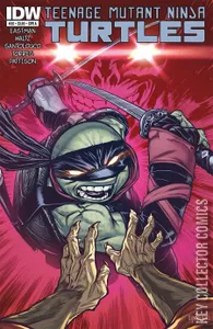 Teenage Mutant Ninja Turtles #36