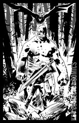 Variant Cover for Lost Fantasy #1