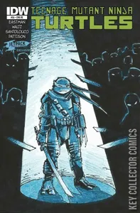 Teenage Mutant Ninja Turtles #28