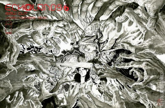 Variant Cover for Echolands #6