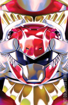 Variant Cover for Mighty Morphin Power Rangers / Teenage Mutant Ninja Turtles #1