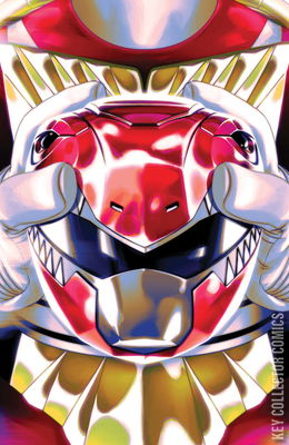 Mighty Morphin Power Rangers / Teenage Mutant Ninja Turtles