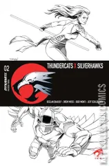 Variant Cover for Thundercats x Silverhawks #2