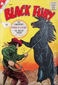 Black Fury #37
