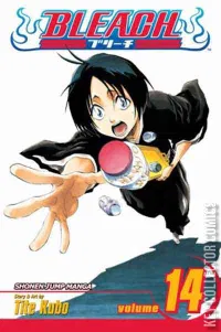 Bleach #14