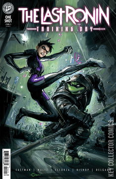 Variant Cover for Teenage Mutant Ninja Turtles: The Last Ronin Training Day