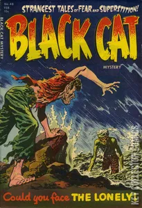 Black Cat Comics #48