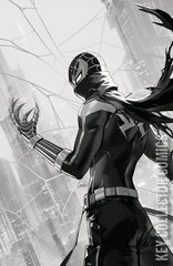 Variant Cover for Spider-Verse vs Venomverse #1