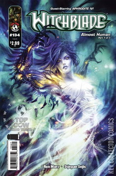 Variant Cover for Witchblade #134