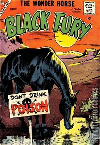 Black Fury #17
